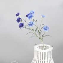 고속터미널꽃시장 미니 다알리아 68cm 시들지않는꽃, 단품