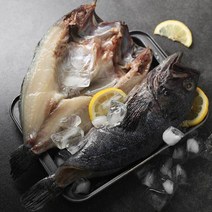 반건조우럭(수협) 국내산 반건조 특대사이즈 우럭 300gx7마리, 300g, 7팩