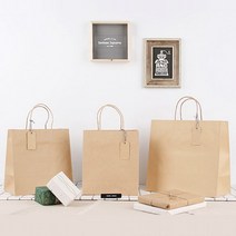 블레스팩 크라프트 트위스트핸들 쇼핑백(대)100매 320x150x295, 상세페이지 참조, 상세페이지 참조