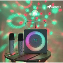 무선 블루투스 노래방 듀얼 마이크 LED 스피커 최대 30W 고출력, 다크블랙 사운드미러볼 2개