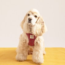 퍼피갤러리 체리체크 하네스 강아지 고양이 가슴줄, 레드