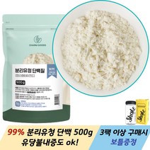 WPI 분리유청 단백 분말 500g 1팩 유당불내증 고함량 단백질 프로틴 가루 3팩 이상 사은품, 2개