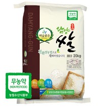 22년산 당일도정 담양군농협 (상등급) 대숲맑은 무농약쌀, 1개, 20kg