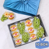 초록자연 명품 혼합 8호 과일선물세트(10개입)