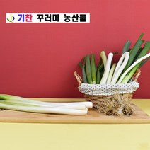 기찬꾸러미농산물 국내산 손질 햇 대파 1kg