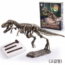 공룡화석 발굴키트(대), _13590_매머드