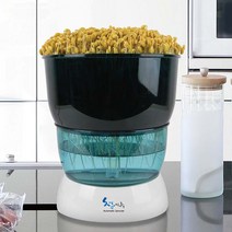 청시루 콩나물재배기 SC-9000A 고급형 새싹재배기 콩나물시루, 청시루 SC-9000A 고급형/해외용(220V50Hz), 1개