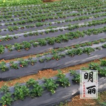 비닐 하우스 조립식 방풍 창문 바람막이 단열 우풍 외풍 차단 보온덮개 흰 덮개 필름 농업용 제초 필름 플라스틱 필름 잡초 방제 필름 야채 딸기 온실 검은 과수원 과일 나무, 20화이트 필름 폭 비고