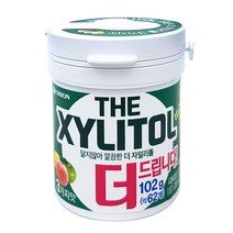 오리온 더 자이리톨 츄잉껌, 102g, 13개