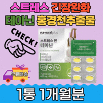 스트레스 테아닌 홍경천 시계꽃 발레리안 추출물 선물 L테아닌 긴장 기억력 심신 해소 직장 딥슬립 피곤 긴장 로사테아닌 항산화 도움 활력 정상적인 해결 선물
