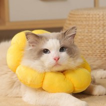 미란다 고양이 넥카라 깔대기 노랑