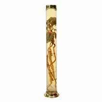 담금주유리병 수동45호(6.5L), 낱개 1개