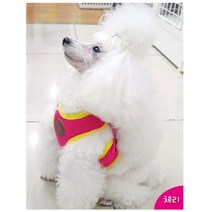 애견용품점창업 체리핑크 하네스 세트 앞섬방지 반려견패션 착용감 편한줄 강아지목줄추천 리드줄 산책훈련