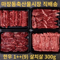마장축산물시장 직배송 1++ 투쁠 마블링9 최상위등급 최상급 한우 특수부위 살치살 300g