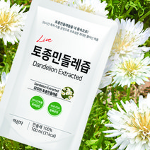 참유원 국내산 토종 흰민들레 엑기스 흰민들레즙 100ml 100포, 100개