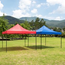 일루오슈 베이직 접이식 캐노피 천막 2mx2m, 블루