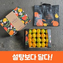 제주 감귤 노지 감귤 제철 제주도 노지귤 2kg 3kg 5kg 가정용, 5kg 프리미엄