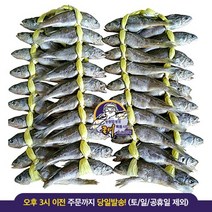 영광 법성포 굴비 [실속상품] 한정수량 20마리+20마리 / 40마리 1세트, 2세트, 1.0kg+1.0kg