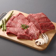 산지직송 [팜쿡] 한우1등급/살치살500g, 단품없음