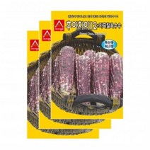 채소씨앗 - 옥수수씨앗 자흑찰옥수수(30gx3), 3개