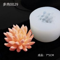 다육 식물 캔들 실리콘 몰드 DIY 선인장 금형 모양 틀 입체 모양틀 케이크 장식 아로마 테라피 석고 접착제 베이킹 도구 양초 만들기 용품, 0029