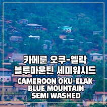 (커피생두) 119 카메룬 오쿠-엘락 블루마운틴 세미워시드 1kg, 1개