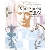한 권으로 끝내는 드로잉:, 비즈앤비즈, 수니오기 안드라시 저/안영진 역