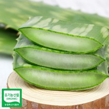 알로에 사포나리아 생잎 3키로, NIBnome 1, NIBnome 본상품선택