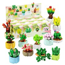 [알꿀밤-호환블럭-꽃] QZ다육이 A세트QZ, 혼합