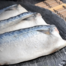 제주 청정해역 진공포장 손질 바로굽는 뼈없는 생선 고등어 10팩, 제주산 고등어 130g x 10 팩