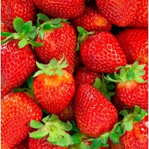 [더위치] 딸기 플레이버오일 500ml