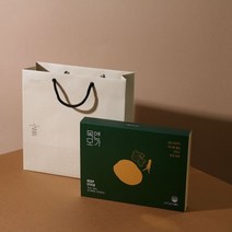 기타 목엔모가 모과발효진액 선물세트 12ml x 30포 (쇼핑백 포함), 단품