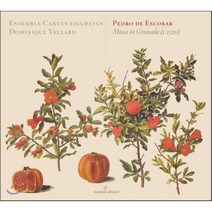 [CD] Cantus Figuratus 에스코바르: 그라나다 미사 (Escobar: Missa in Granada)