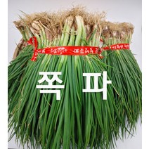 쪽파 흙쪽파 1단 1.5kg 내외 보성 발품장터