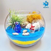 백곰과 친구들 - 틸란(이오난사) 원형볼 12cm 테라리움 DIY키트 세트, 흰색