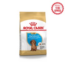 퍼피 1.5kg 강아지 1P 강아지밥 반려견사료 건사료 애견건식사료 닥스훈트 강아지건사료 개밥 주식 로얄캐닌건사료 로얄캐닌건사료, 없음, 선택완료