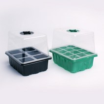 수경재배 모종트레이 육묘 삽목 상자 씨앗발아 미니온실 원예용품, 대형 12구, 그린