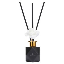 비나리즈 시그니처 블랙 디퓨저 100ml 세트/방향제/집방향제/화장실방향제/욕실방향제/섬유유연제향/집들이선물/새집선물/답례품/검은색, 레드프룻 100ml set