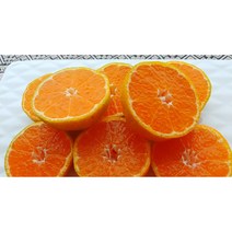 3kg 제주도 하우스 고당도 brix 당도선별 귤 감귤 밀감 가정용 선물용 선물세트 황금향 명절 추석 선물 설 선물, 감귤 소과 5kg