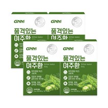 GNM 품격있는 국산 여주환 스틱(여주분말 가루 100%), 90g, 4개