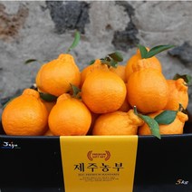 [제주농부] 산지직송 고당도 제주 한라봉, 한정_ 못난이한라봉(가정용) 9kg