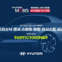 현대모비스 울트라소닉 센서 스마트 파킹 어시스트 시스템 (96891C1000NB9)
