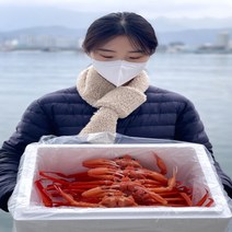 [품질보장] 홍게 박달대게 여니수산 연지 자숙 제철 속초홍게 2kg 3kg, 5kg, 고급형 홍게