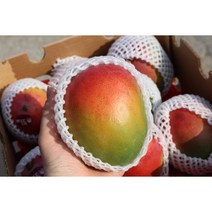 브라질 페루 애플망고 실속 선물세트, 선물형, 6과*2개
