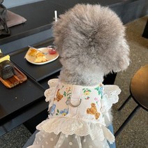 Neirny 강아지 하네스 세트 프릴 레이스 가슴줄 애견 산책 몸줄 리드줄 찍찍이 소형견 LSQY-Q, S