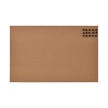 이케아 FLONSA 플뢴사 메모판+핀 코르크 52x33cm 게시판 코르크보드 압핀포함 메모보드 사진, 코르크_205.324.70