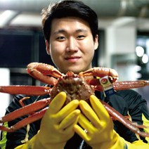 대한민국농수산 제철 박달 홍게 5마리, 박달홍게 (중) 5마리