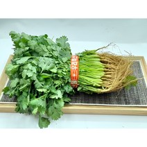 [특급] 고수 1단 (300g내외), 1개