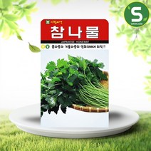 참나물씨앗 1000립 참나물 산채나물 재래종 아람씨앗, 상세페이지 참조