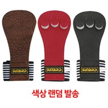 일음쇼핑^^*m썬버드 3구 헬스 역도 장갑 860 랜덤 벤치 그립운동장갑 용품 프레스 다용도일medi^*^, ab*^^선택없는